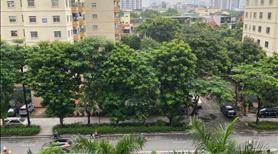 Bán căn hộ chung cư C3 Mỹ Đình, Nam Từ Liêm 125m2 4 phòng đủ đồ mới - Ảnh 2