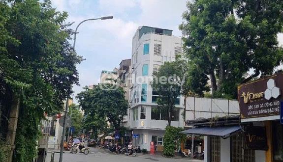 Bán 115m đất Mặt Phố Lò Đúc - Trần Khát Chân giá đầu tư 36,6 tỷ xây toà VP, KD sầm uất.. - Ảnh 1