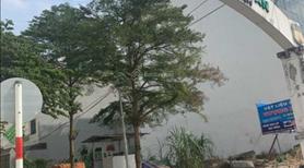 Hàng độc tại KDC Hoàng Anh Minh Tuấn đối diện GlobalCity, biệt thự 250m giá bán 104tr/m2 - Ảnh 6