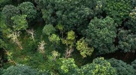 Khu Đô Thị Cảnh quan Eco Retreat - Bến Lức, Long An - Ảnh 4