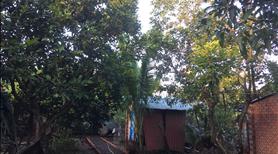 Bán nhà view sông Đồng Nai, Hiệp Hoà. 707m2 gần phà Long Triển. SHR, TC, đường xe hơi tận nơi - Ảnh 3