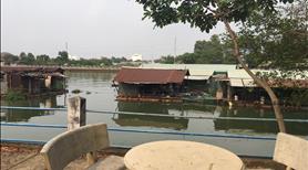 Bán nhà view sông Đồng Nai, Hiệp Hoà. 707m2 gần phà Long Triển. SHR, TC, đường xe hơi tận nơi - Ảnh 6