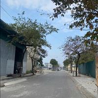 Cần bán nhanh 114m đất KDT Nguyên Khê, Đông Anh, Hà Nội.