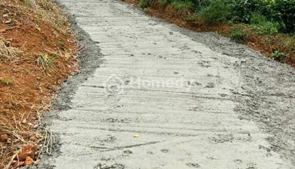 Cần bán 1,1 Hécta (11,000m2) Caphe tốt, có ao suối Lộc Phú giá 2,3 tỷ - Ảnh 1