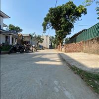 Bán đất Uy Nỗ, Đông Anh. 100m2, vị trí bìa làng. Ô tô tránh