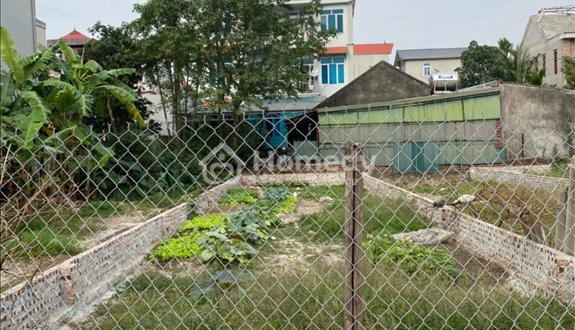 Bán nhanh lô đất 112m tại Cổ Dương, Tiên Dương, Đông Anh. Đường thông. Giá 6.7 tỷ có thương lượng - Ảnh 1