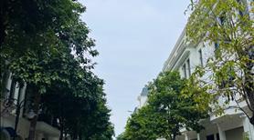 Bán căn liền kề hoa Hồng Vinhomes Star city Thanh Hóa giá siêu tốt 0973.969.059 - Ảnh 8