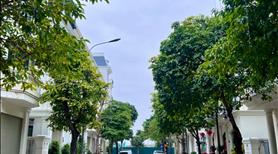 Bán căn liền kề hoa Hồng Vinhomes Star city Thanh Hóa giá siêu tốt 0973.969.059 - Ảnh 3