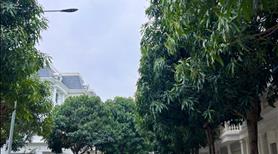 Bán căn liền kề hoa Hồng Vinhomes Star city Thanh Hóa giá siêu tốt 0973.969.059 - Ảnh 7