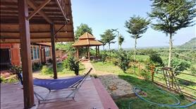 Bán nhà vườn 1.22ha Lang Minh,SHR,TC, đường xe hơi, chỉ 9.25 tỷ - Ảnh 7
