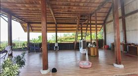 Bán nhà vườn 1.22ha Lang Minh,SHR,TC, đường xe hơi, chỉ 9.25 tỷ - Ảnh 8