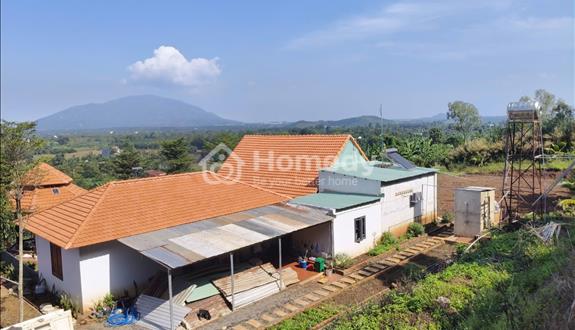 Bán nhà vườn 1.22ha Lang Minh,SHR,TC, đường xe hơi, chỉ 9.25 tỷ - Ảnh 1