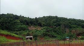 chính chủ cần bán lô đất gần thác dải yếm - Mộc Châu - Ảnh 5