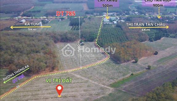 Đất sào giá rẻ tài chính hơn 300tr xíu - Thuộc Tân Hiệp Taan Châu Tây Ninh - Ảnh 1