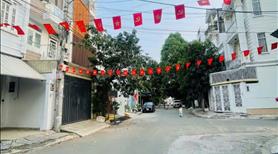 Bán nhà 5 tầng Khu CoopMart Bình Triệu - đang khai thác CHDV 8PN - Ảnh 3