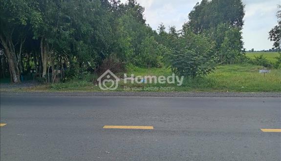 Em có lô đất mới Ngang 30m dài 100m, xã Ninh Quới A, Bạc Liêu - Ảnh 1