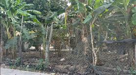 🔵6x20(120m2) Hẻm Trưng Trắc, Tân An, LaGi Giá 1 Tỷ - Ảnh 4