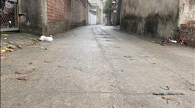 Siêu hiếm!!!.  79m đất nguyên Khê, đông anh. Gái 55tr - Ảnh 3