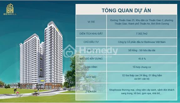Chung cư cao tầng BENHILL ( chỉ 250tr ký HĐMB) - Ảnh 1