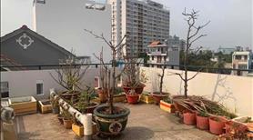 Bán nhà 4 Tầng - Nguyễn văn quỳ - Quận 7 - DT : 5 x 14m2 - Ảnh 4