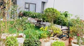 Bán căn hộ 2pn chung cư Le Grand Jardin Sài Đồng tặng kèm vườn tiểu cảnh gần 40m2  - Ảnh 3