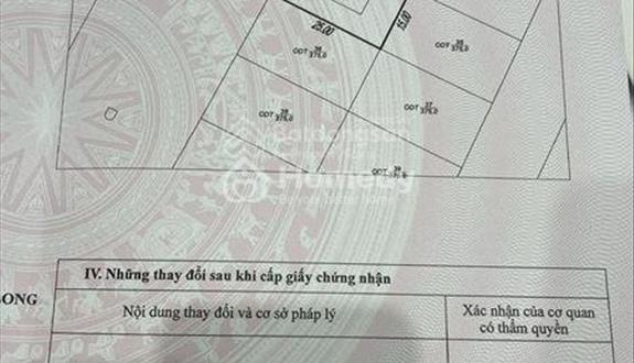 Cần bán gấp 2 lô đất giá tốt KDC Sở Văn Hoá Thông Tin, phường Phú Hữu, Tp.Thủ Đức - Ảnh 1
