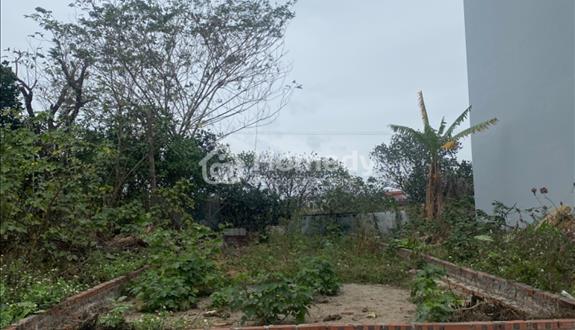Bán nhanh 92.5m đất X6 Cán Khê, Nguyên Khê, Dsoong Anh - Ảnh 1