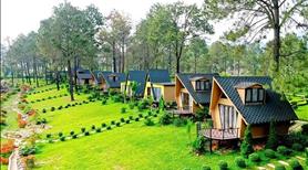 Ahihi Chính chủ bán 230 m2 khu tái định cư Chánh Mẫn, Cát Nhơn gần sân bay quốc tế Phù Cát - Ảnh 9