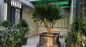 Chính chủ bán biệt thự vị trí đẹp, góc 2 mặt tiền phường Cát lái, TP Thủ Đức - Ảnh 4