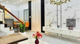 Nhà hẻm xe Tải đổ trước cửa 3 tầng nội thất cao cấp giá nhỉnh 5 tỷ - Ảnh 3