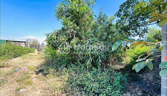 Bán đất thổ cư hẻm nguyễn tri phương, tân bình, thị xã lagi giá đầu tư - Ảnh 1