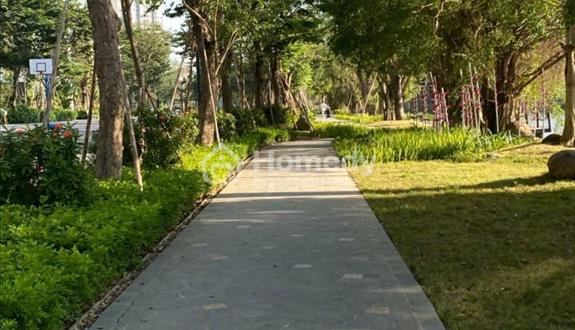 Cho thuê căn hộ 1 ngủ , chung cư Haven PArk ECopark - Đủ nội thất - giá 6tr/tháng - Ảnh 1