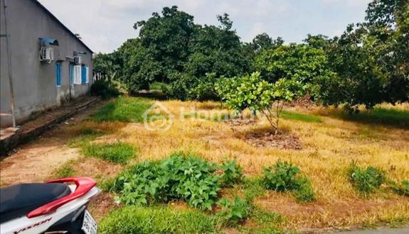 Đất hắc dịch đẹp, gần quốc lộ , gần nhà thờ lớn - Ảnh 1
