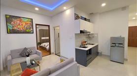 Cho thuê căn hộ cao cấp - hiện đại và đầy đủ tiệm nghi Quận 1 - Ảnh 2