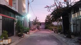 Đất sổ đỏ Nguyễn Duy Trinh, Phú Hữu, Q9, TP. HCM, 12,5 tỷ, 305m2 hàng hot - Ảnh 5