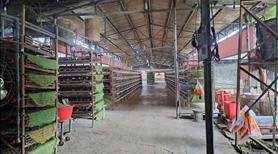 Bán Đất Nhà Đẹp - Giá Tốt! 9 Sào (600m² Thổ Cư) tại Tây Hòa, Trảng Bom, Đồng Nai - Ảnh 8