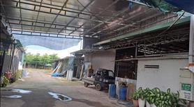 Bán Đất Nhà Đẹp - Giá Tốt! 9 Sào (600m² Thổ Cư) tại Tây Hòa, Trảng Bom, Đồng Nai - Ảnh 7