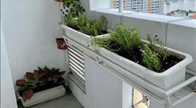 Cho thuê 3PN 2wc căn hộ Newtown đường 18, nhận nhà đầu tháng - Ảnh 2