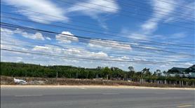 🔵 Cơ Hội Đầu Tư Giá Rẻ Nguyễn Chí Thanh Chỉ 3tr/m2 5800m2 Sẵn 620m2 Thổ Cư  - Ảnh 4