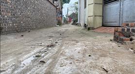 Bán đất Nguyên Khê, Đông Anh. 77m2, mt 4m. Giá 5.621 tỷ có thương lượng - Ảnh 4