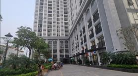Cho thuê mặt bằng, showroom, văn phòng tầng 2 ngay phố Láng Hạ, Đống Đa, 100m, giá cực tốt  - Ảnh 3