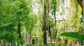 Eco Retreat Long An- Khu đô thị Xanh cửa ngõ phía Tây Sài Gòn - Ảnh 5