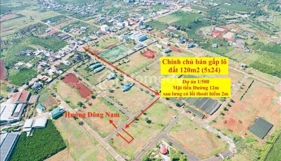 Gửi bán gấp nền đất đẹp trong tháng 3/2025. Dự án 1/500 Bảo Lộc Golden City - Ảnh 1