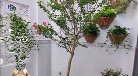 Bán nhà hẻm có sẵn dòng tiền 116m Kinh Dương Vương - Ảnh 2