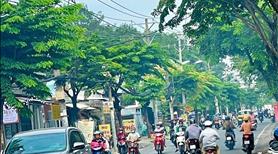 Mặt tiền kinh doanh - Nguyễn Văn Tạo - ngay cao tốc Bến Lức - Ảnh 3