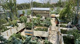 Bán nhà Bông Sao, Quận 8, 69m2, ngang 4m, 3 lầu, 4 phòng ngủ, chỉ 5.7 tỷ, sát Chợ, kế bên Quận 5 - Ảnh 7