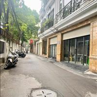 Chủ đổi nhà to nên TẶNG full nội thất cho khách mua nhà 7 tầng, ô tô đỗ cửa