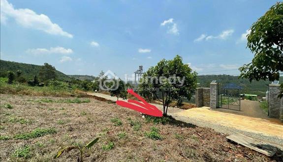 Bán gấp lô đất 166,8m2 đường Nguyễn An Ninh, Tp Bảo Lộc giá 670 triệu - Ảnh 1