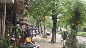 Bán Nhà Cấp 4 Mặt Phố Hoàng Cầu quận đống đa xây toà nhà văn phòng DT 400M Giá chào 233 Tỷ - Ảnh 5