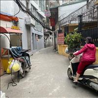 Nhà đẹp Hào Nam - 20m ra phố - Kinh doanh online - Xây chắc chắn  